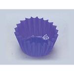 フードケース彩紫5F(500枚入) cotta