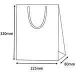 42161 ブライトバッグ SWT アサギ cotta
