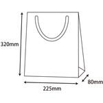 42163 ブライトバッグ SWT Dオレンジ(MT) cotta