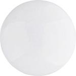 - カラーマグネット 40mm  4個入り モノタロウ 16742014