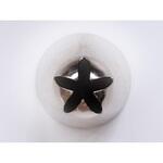 88671 孝義 星口金5切 #7 cotta