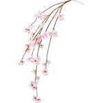 FM005532 はつね桜バイン MAGIQ(東京堂)