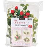 ZA001091 3WAYキット ストロベリー 東京堂