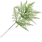 FG000246 ブライトファーンピック MAGIQ(東京堂)