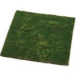 モスマットスクエア MAGIQ(東京堂)