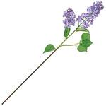 ジョエルライラック MAGIQ(東京堂)