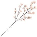 FM008070 淡雪の桜 満開大 MAGIQ(東京堂)