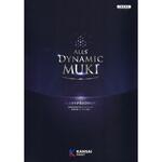 関西ペイント アレスダイナミックMUKI 色見本帳 関西ペイント