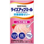 MORIYAMAライズアップミール 栄養調整ゼリー いちご風味 ライズアップミール