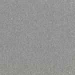 タイルカーペット GA-100SA 東リ