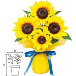 SV2-0011 ひまわりバリューラッピングポット 1個 アルファ[販促