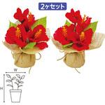 TE2-0443 ハイビスカス ジュートラッピングセット アルファ[販促]