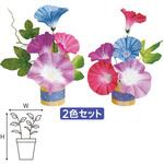 TE2-0454 朝顔スダレペアスタンド アルファ(販促)