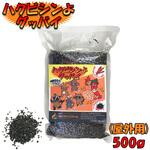 ハクビシンよグッバイ 国分グリーンファーム