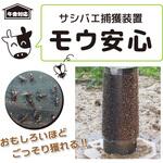 モウ安心 サンパック