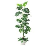 年間装飾品 フェイクグリーン 観葉植物 人工樹木モンステラ ストア・エキスプレス