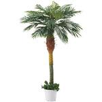 年間装飾品 フェイクグリーン 観葉植物 人工樹木デラックスパームツリー ストア・エキスプレス