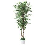 年間装飾品 フェイクグリーン 観葉植物 人工樹木ベンジャミン ストア・エキスプレス