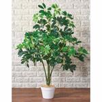 年間装飾品 フェイクグリーン 観葉植物 人工樹木シェフレラ ストア・エキスプレス