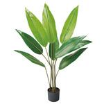 年間装飾品 フェイクグリーン 観葉植物 人工樹木 ストア・エキスプレス