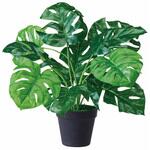 年間装飾品 フェイクグリーン 観葉植物 グリーンポット ストア・エキスプレス