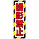 G板トラ柄 撮影禁止 グリーンクロス