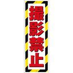 G板トラ柄 撮影禁止 グリーンクロス