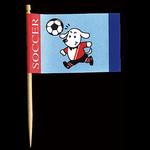 ランチ旗 (サッカー) 川善