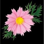 造花 デージ カモト