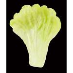 DK-59 造花 レタス カモト