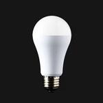 防災電球 蓄電型LED かりはな製作所