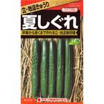 【タネ】地這きゅうり 夏しぐれ カネコ種苗