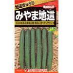 【タネ】地這きゅうり みやま地這 カネコ種苗