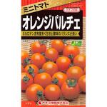【タネ】ミニトマト オレンジパルチェ カネコ種苗
