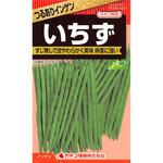 【タネ】つるありインゲン いちず カネコ種苗