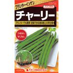 【タネ】プランターいんげん チャーリー カネコ種苗