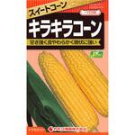 【タネ】キラキラコーン カネコ種苗