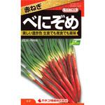 【タネ】赤ねぎ べにぞめ カネコ種苗