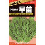 【タネ】しゅんぎく 中葉新菊 早苗 カネコ種苗