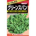 【タネ】リーフレタス グリーンスパン カネコ種苗