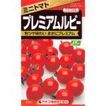 【タネ】ミニトマト プレミアムルビー カネコ種苗