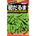 【タネ】極早生枝豆 初だるま カネコ種苗