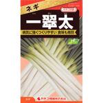 CFC338 【タネ】ネギ 一翠太 カネコ種苗