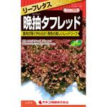 【タネ】レタス 晩抽タフレッド カネコ種苗