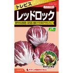 【タネ】トレビス レッドロック カネコ種苗