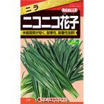【タネ】ニラ ニコニコ花子 カネコ種苗