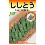 【タネ】ししとう カネコ種苗