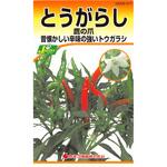 【タネ】鷹の爪 とうがらし カネコ種苗