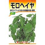 【タネ】モロヘイヤ カネコ種苗