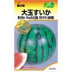 【タネ】大玉すいか 新大和 カネコ種苗